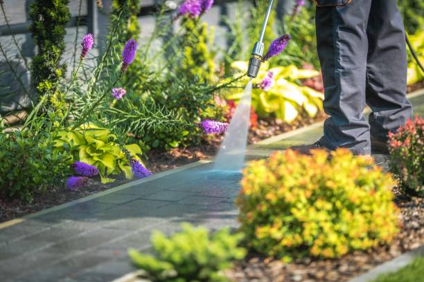 Best Driveway Pressure Washing  in Wyanet, IL