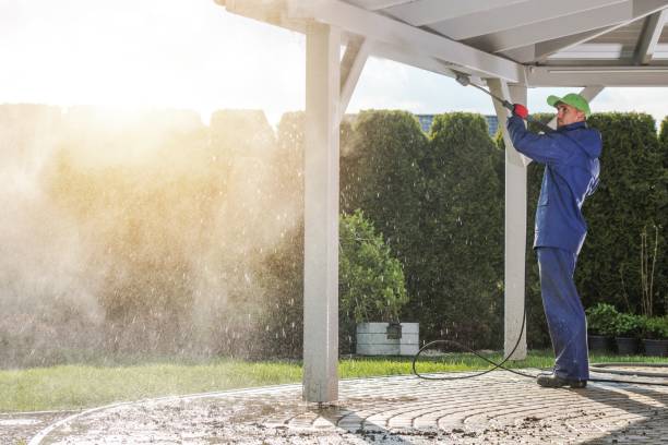 Best Spring Cleaning  in Wyanet, IL
