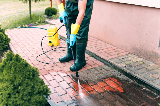 Best Playground Equipment Cleaning  in Wyanet, IL