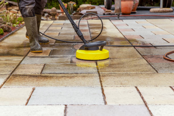 Best Roof Washing  in Wyanet, IL